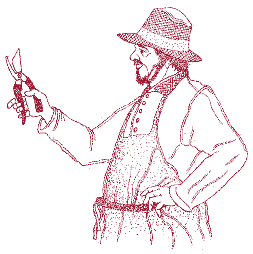 Vigneron