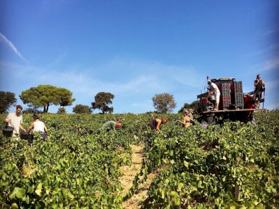 Whats up in Fortia : HARVEST 2019 !