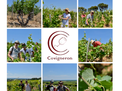 Second Workshop for our Covignerons - Session 2021