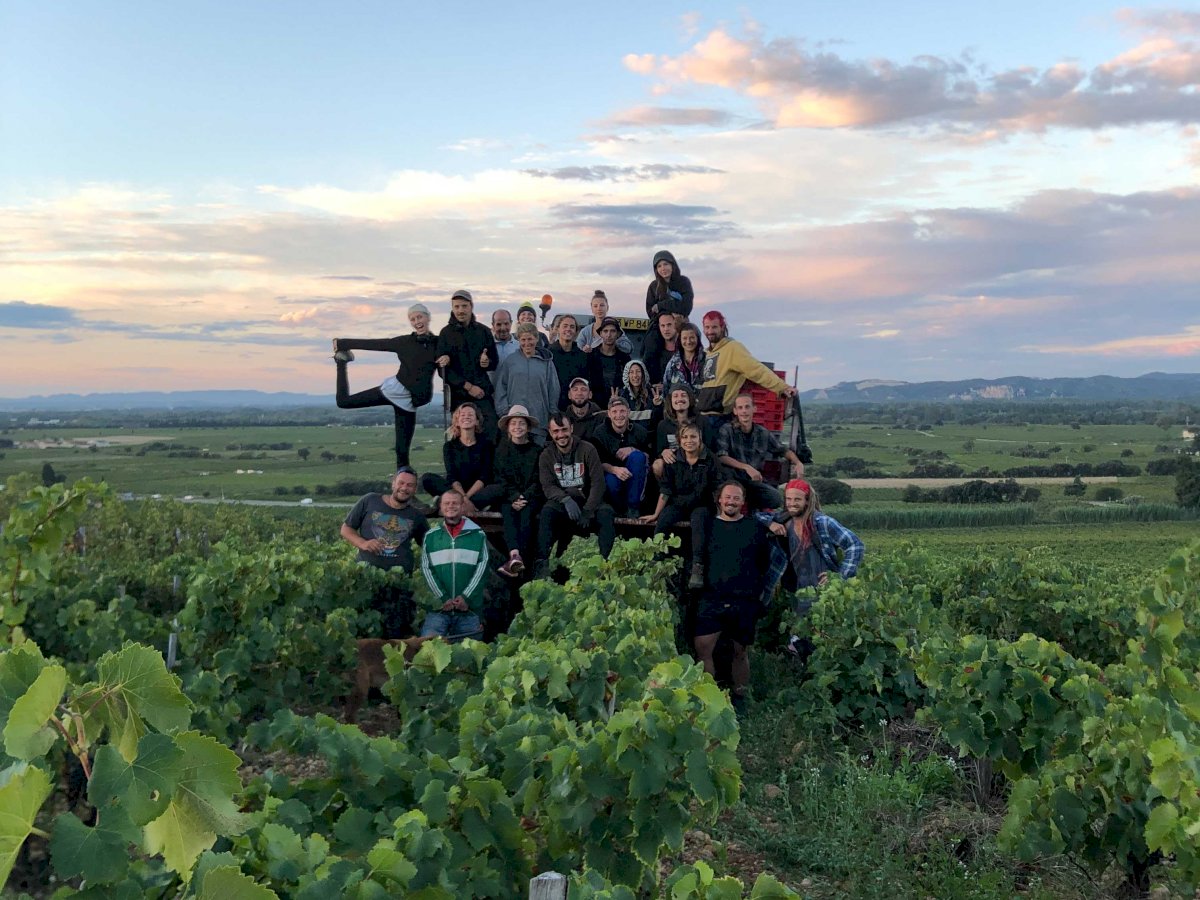 Vendanges 2021